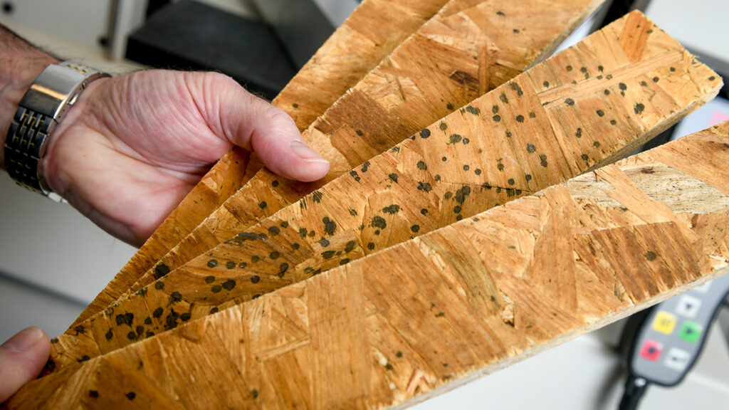 Wooden Boards - This NC State Research Wants to Disaster-Proof Your Home - College of Natural Resources News - NC State University