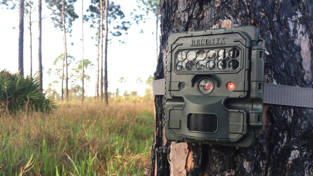 Camera Trap - Transforming Data into Conservation - College of Natural Resources News - NC State University