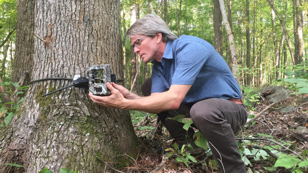 Roland Kays attaching a camera trap to a tree.