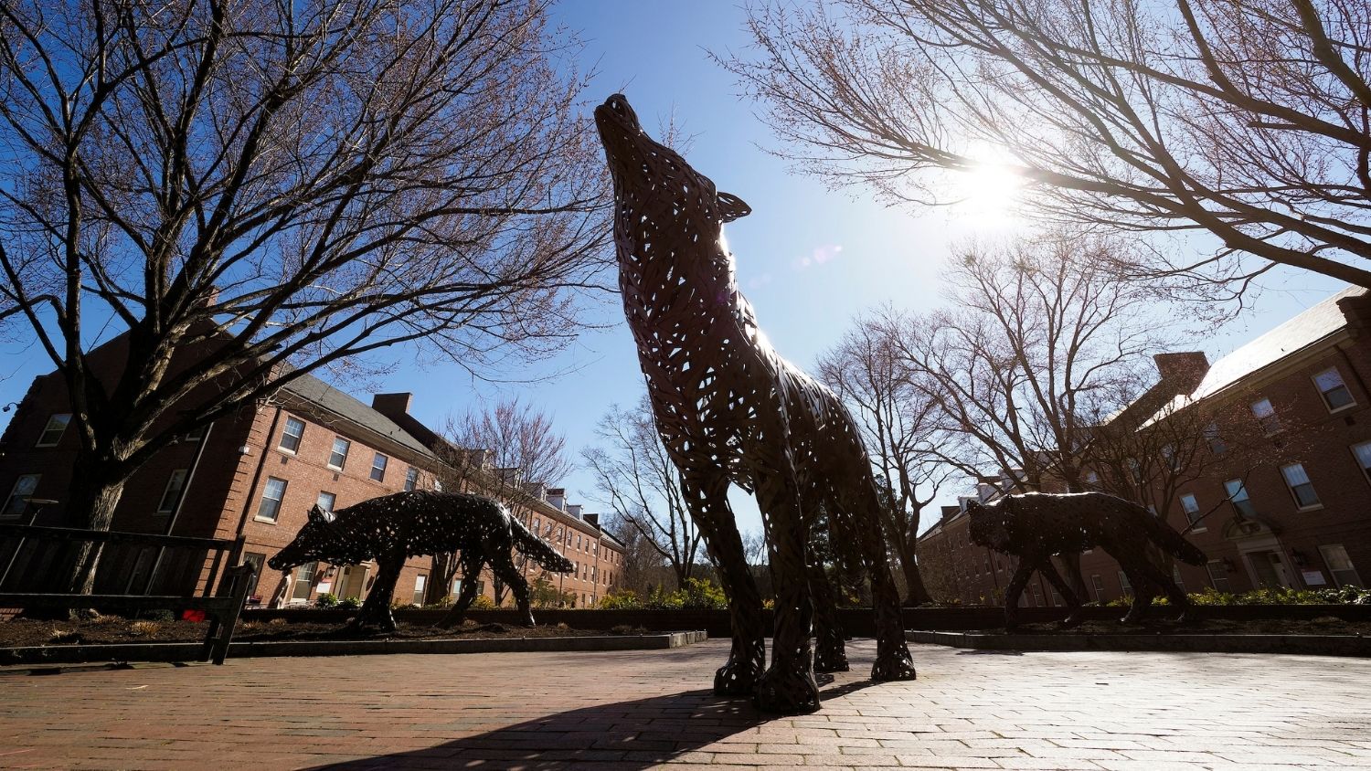 Copper wolf statue in Wolf Plaza - Diversity Seminar to Address How 'Model Minority' Myth Impacts AAPI Community - College of Natural Resources News NC State University