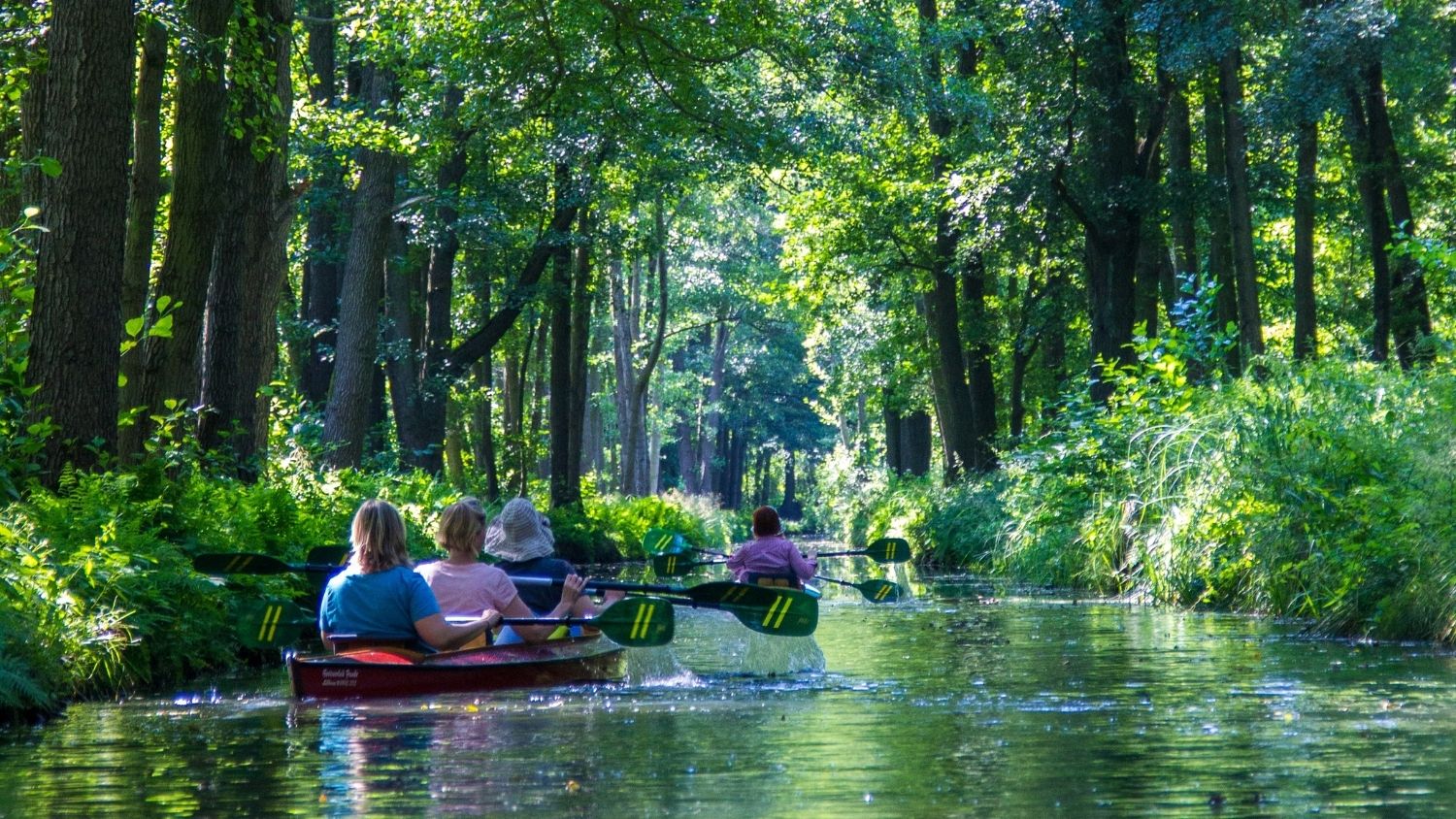 People kayaking in a tree lined river - Which North Carolina invasive species are you? - College of Natural Resources News NC State University