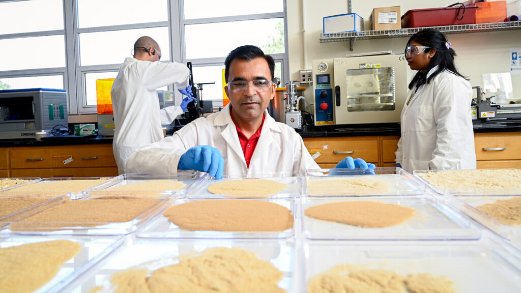 Lokendra Pal overlooks samples of sawdust powder in his laboratory in Biltmore Hall at NC State - New Biomaterial Could Save Our Oceans from Plastic Pollution - College of Natural Resources News - NC State University