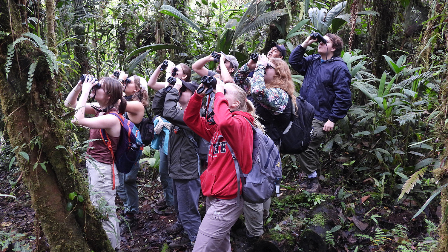 A group of NC State students in the Amazon rainforest - From the Andes to the Amazon - College of Natural Resources News - NC State University