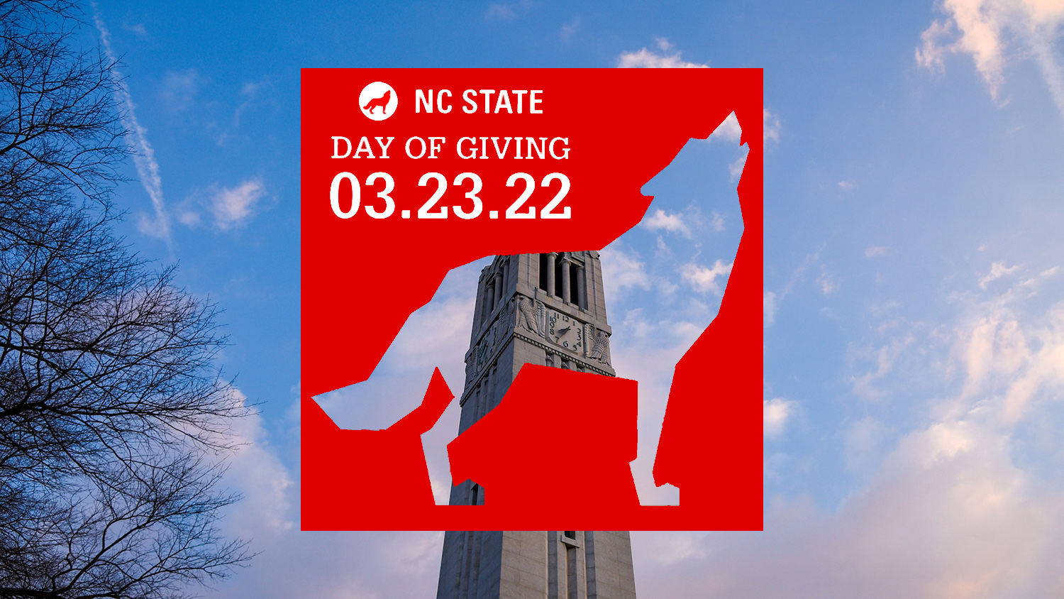 Day of Giving - Belltower - College of Natural Resources at NC State University
