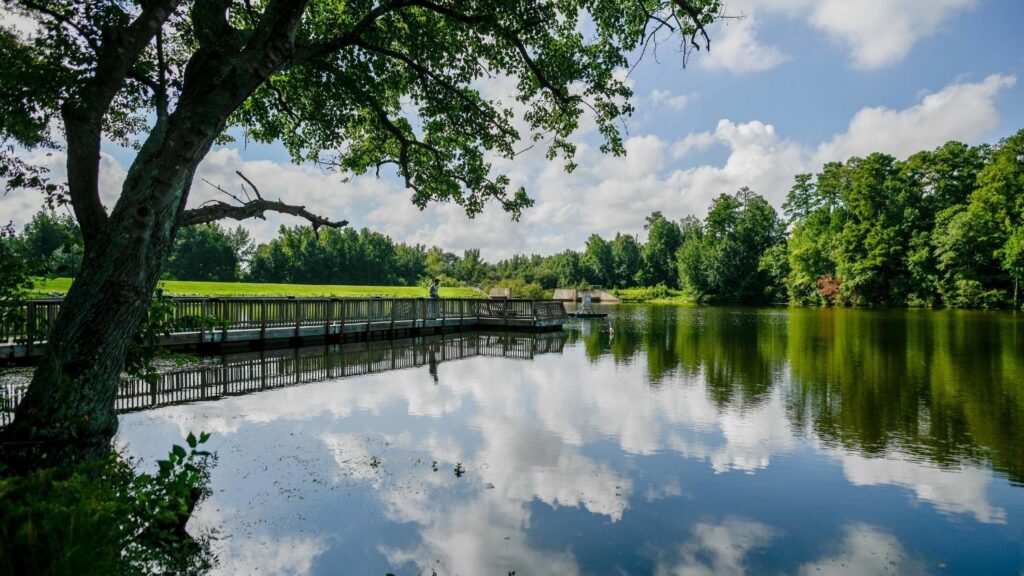 Lake Raleigh- How Parks and Green Spaces Can Improve Your Health - College of Natural Resources News NC State University