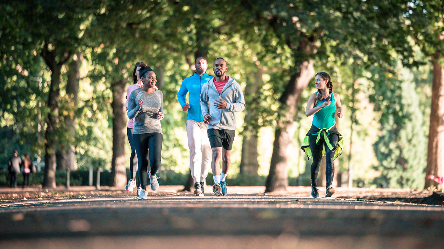 A group of people walking in a park - 5 Benefits of Urban Forests - College of Natural Resources News - NC State University