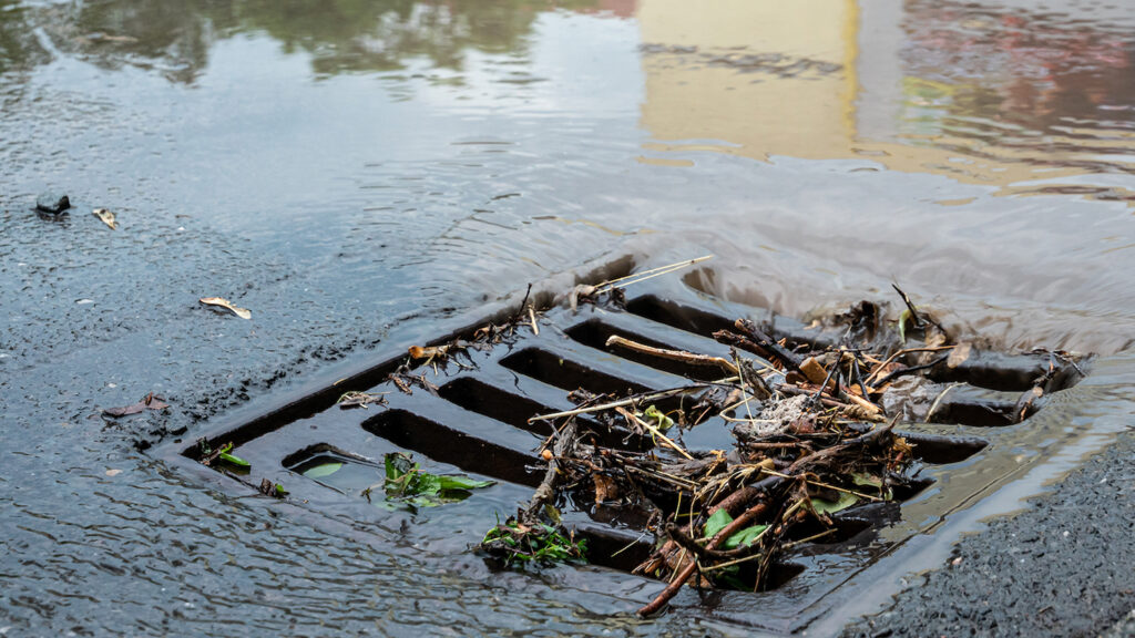 Water pouring into a drain - 5 Benefits of Urban Forests - College of Natural Resources News - NC State University