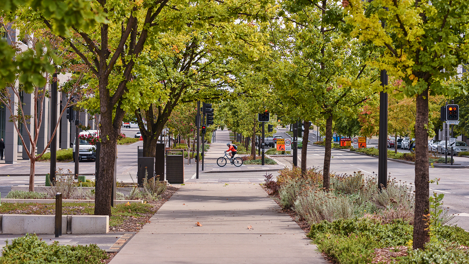 A person cycling through a city - 5 Benefits of Urban Forests - College of Natural Resources News