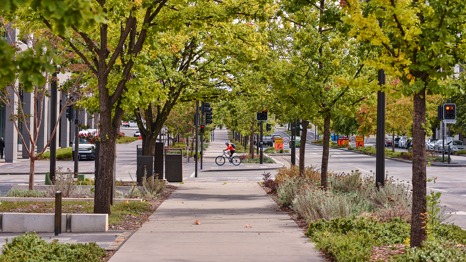 Urban Tree Planting is Booming, Just Not In Low-Income and Minority  Neighborhoods