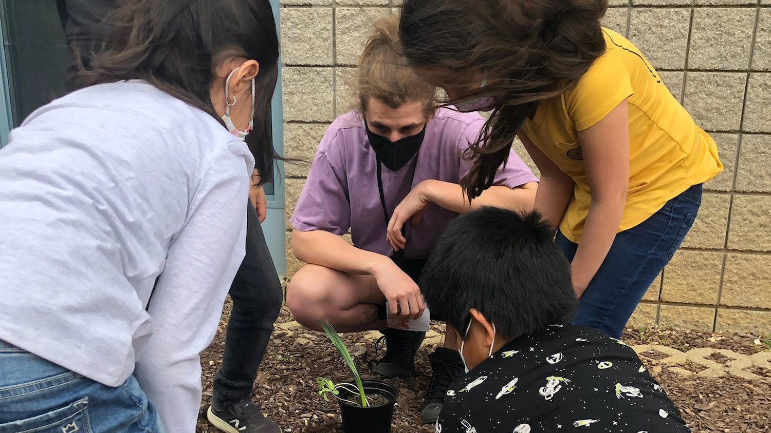Students observe a plan - NC State Project Promotes STEM Education at Dillard Drive Elementary - College of Natural Resources News NC State University