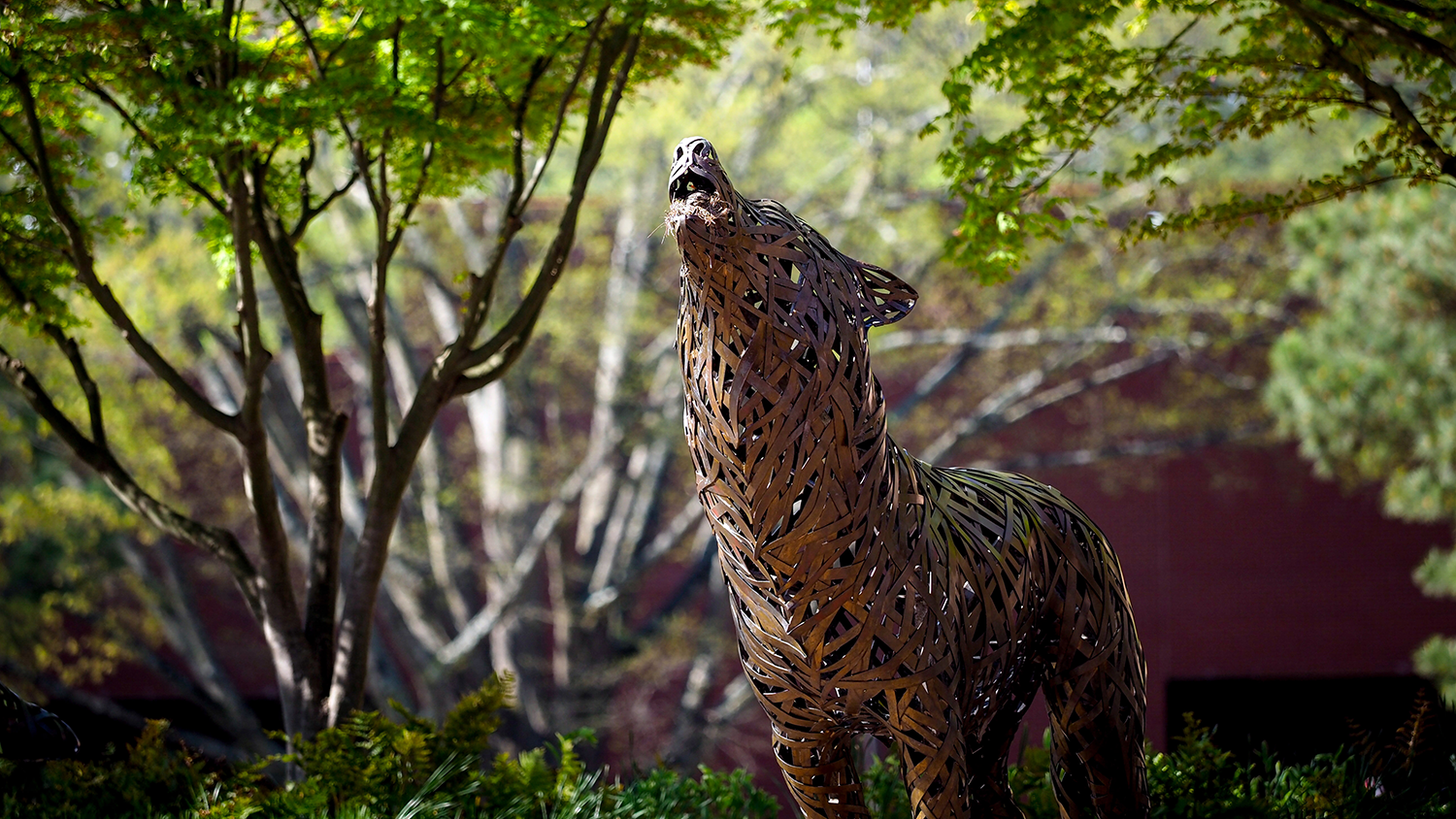 Wolf Plaza in the spring - New Karla A. Henderson Distinguished Professor Named - College of Natural Resources News NC State University