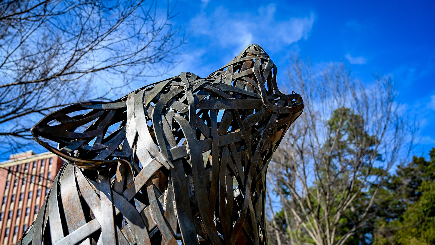 Winter sky at Wolf Plaza - New Karla A. Henderson Distinguished Professor Named - College of Natural Resources News NC State University