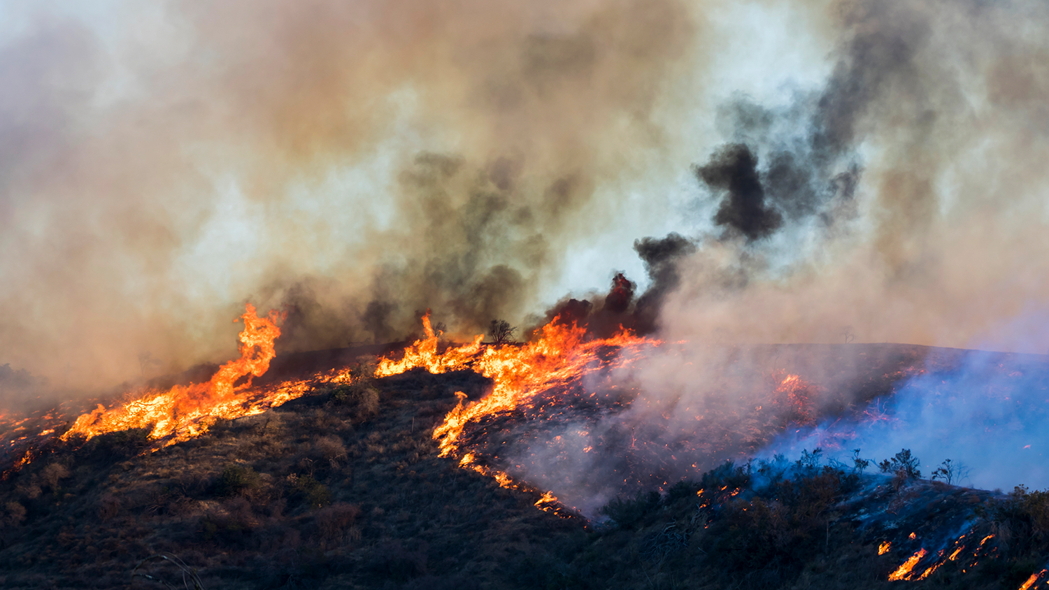 Ярко-оранжевое пламя и дым в черно-сером и белом цветах, пока горит склон холма во время пожара Вулси в Калифорнии.