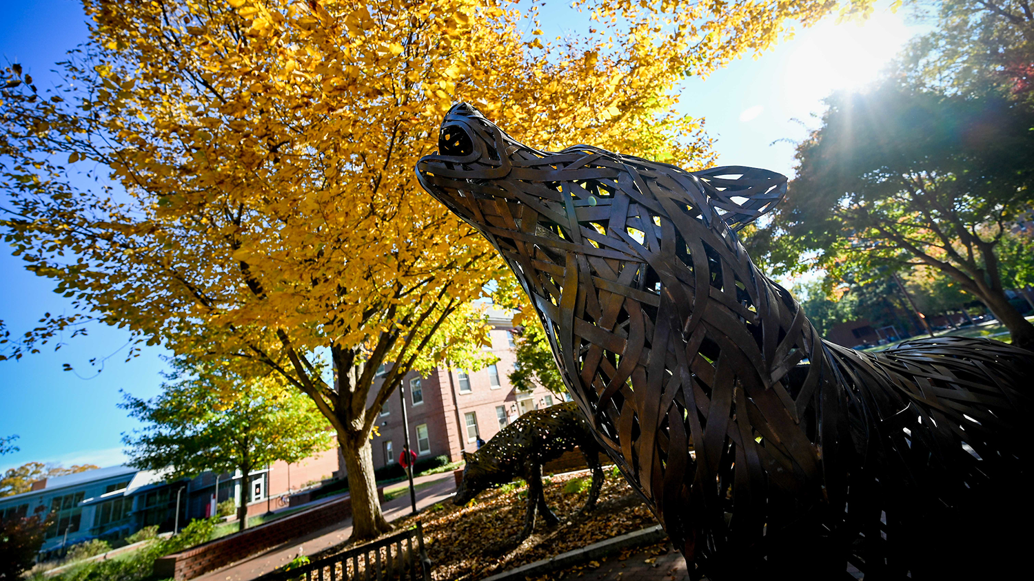 Afternoon sunlight streams through the fall foliage at Wolf Plaza - Paper Science Alumni Establishes Scholarship to Honor Mother - College of Natural Resources News NC State University