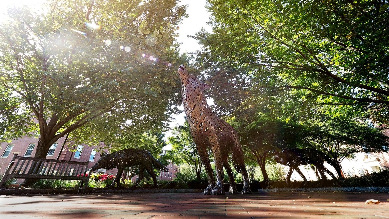 Bronze wolf sculptures near the free expression tunnel - These NC state Students Are Tomorrow's Climate Leaders - College of Natural Resources News NC State University