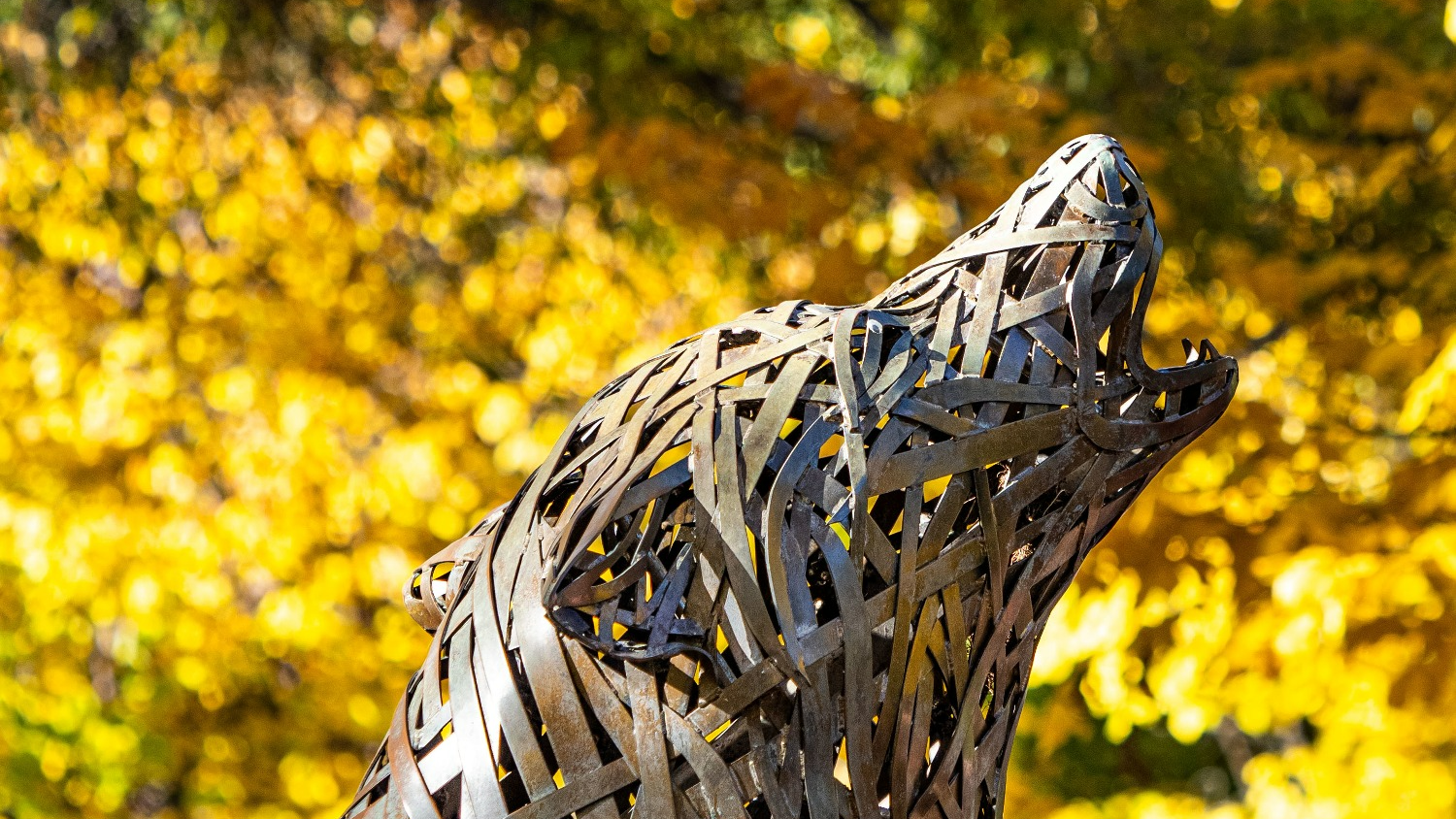 Wolf statue in fall