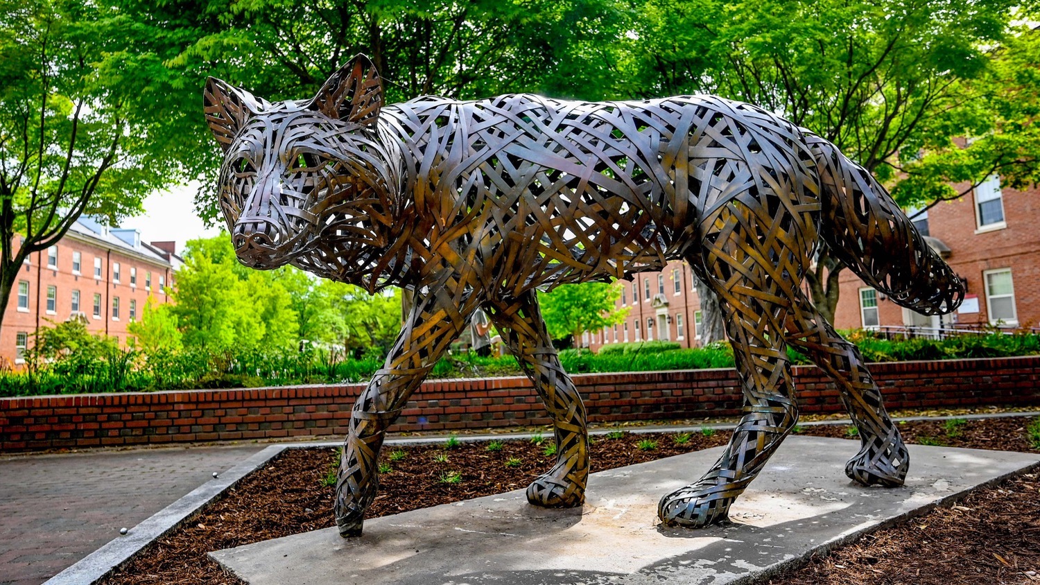 A copper wolf in Wolf Plaza - Suzano Scholarship Supports Paper Science Students - College of Natural Resources News NC State University