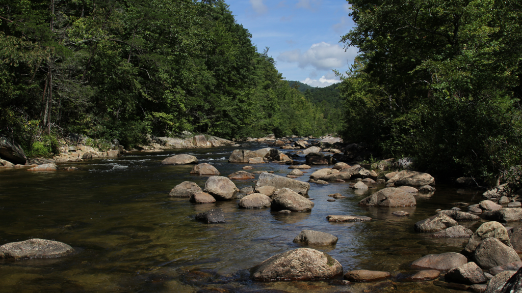 What Is A Watershed? 