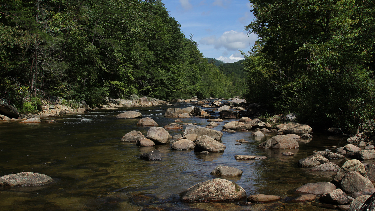 A stream at Brown Mountain in western North Carolina - What is a Watershed? - NC State University - College of Natural Resources News