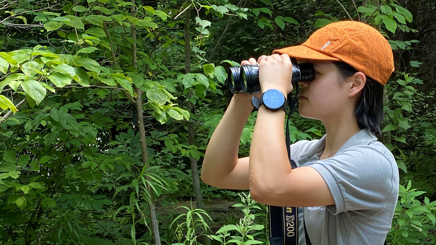 NC State Kyla Marze holding a pair of binoculars to her eyes - Cincinnati Zoo Intern Kyla Marze Combats Non-native Invasive Plants - College of Natural Resources News - NC State University