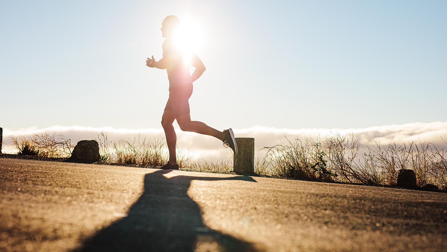 A person jogging in nature in the early morning hours. Fresh air