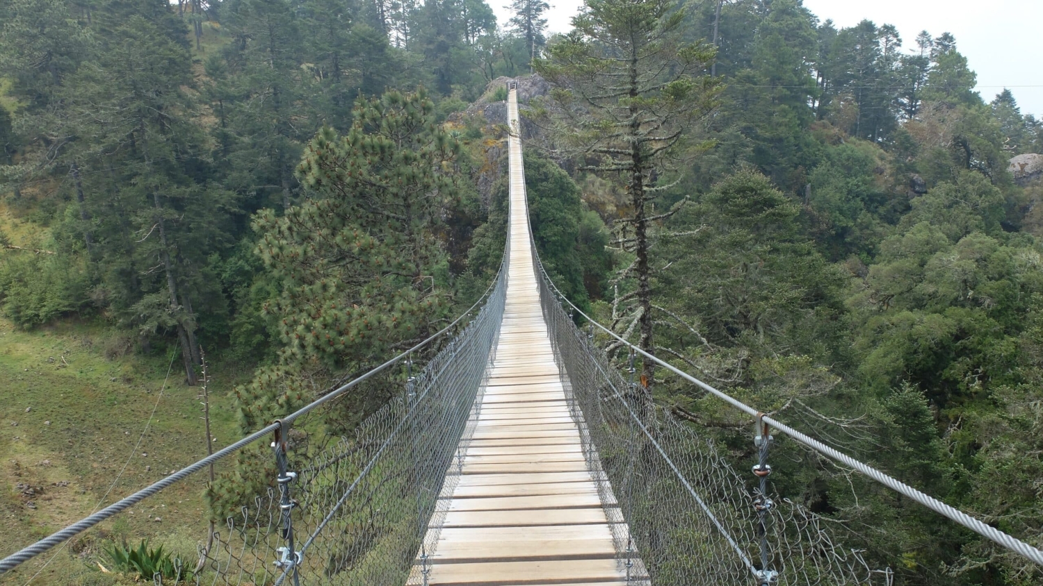 Suspension bridge - Survey: Tourists' Long-Term Travel Plans More Uncertain Under Climate Change - College of Natural Resources at NC State University