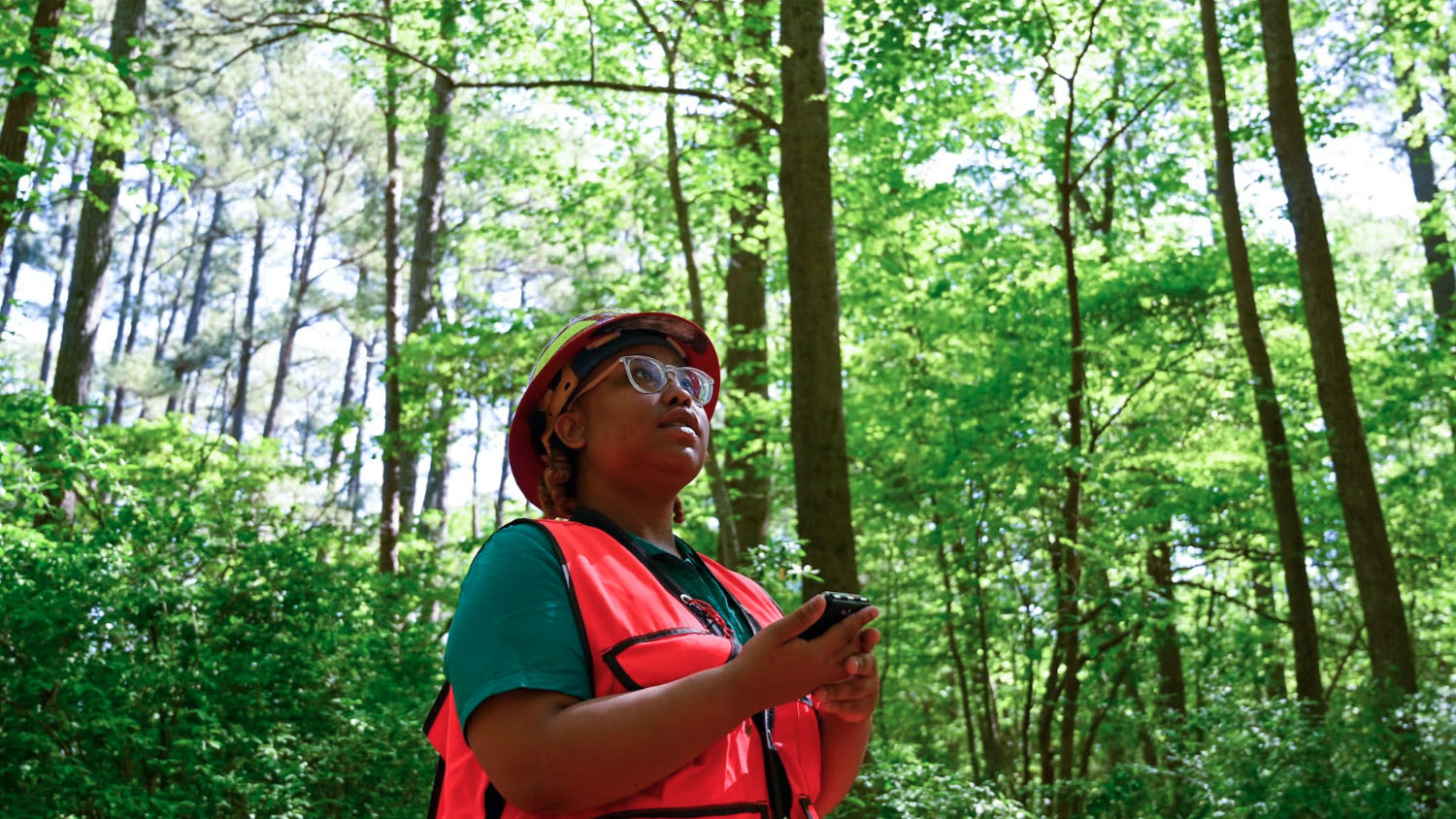 Student scans forest - College of Natural Resources at NC State University