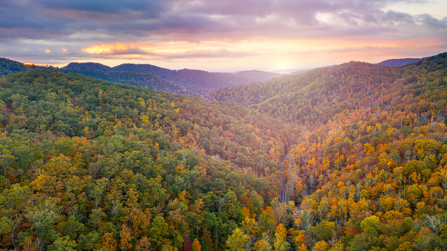 Aerial view of Pisgah National Forest, North Carolina during autumn.