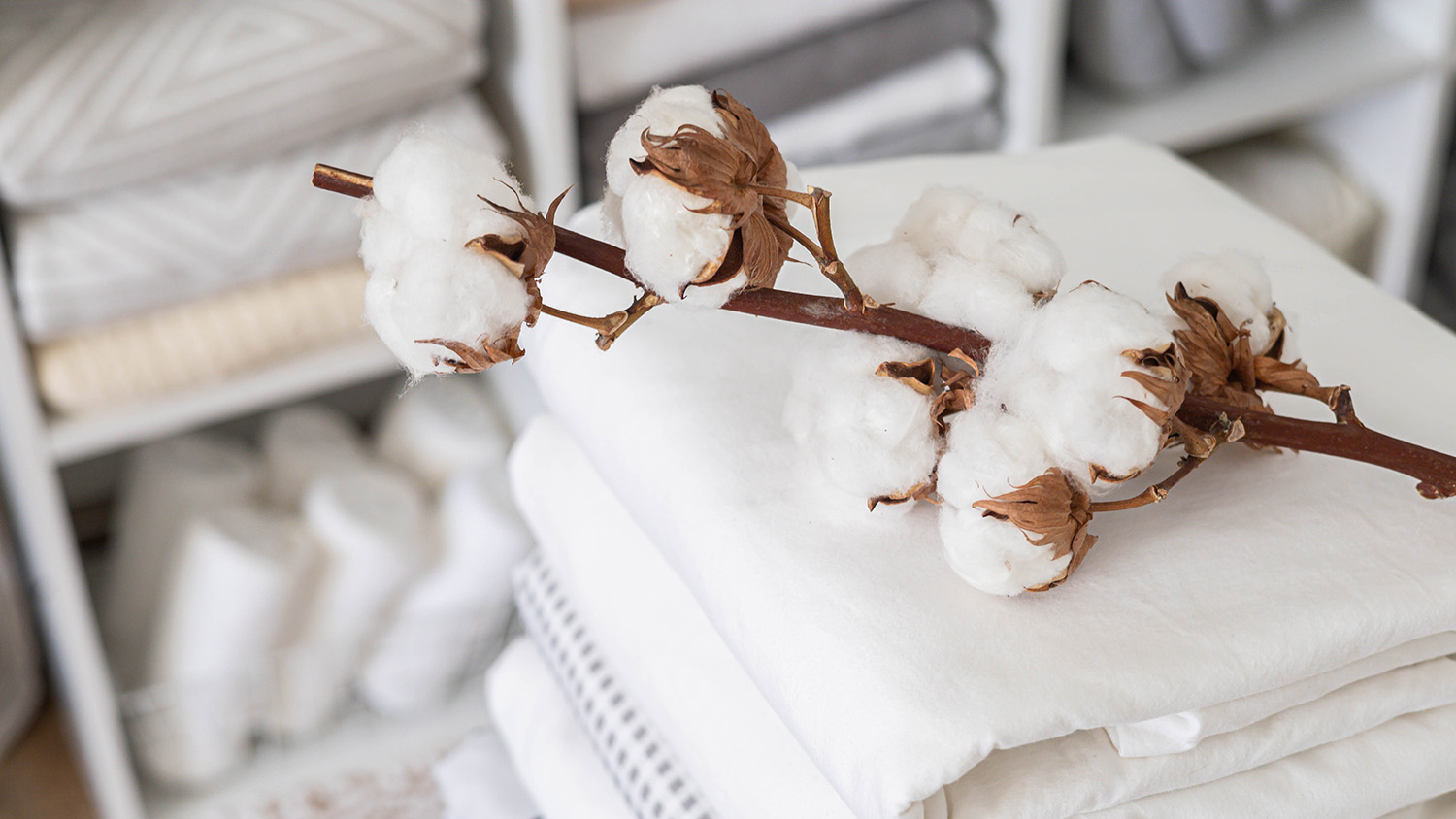Cotton branch with pile of folded bed sheets and blankets.