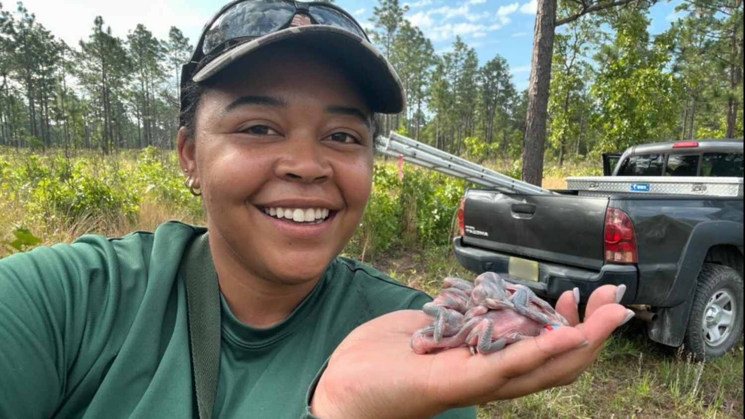 A woman holds a group of baby birds in her hand - Natural Resources Student Conducts Research to Save Threatened Bird Species From Extinction - College of Natural Resources News at NC State