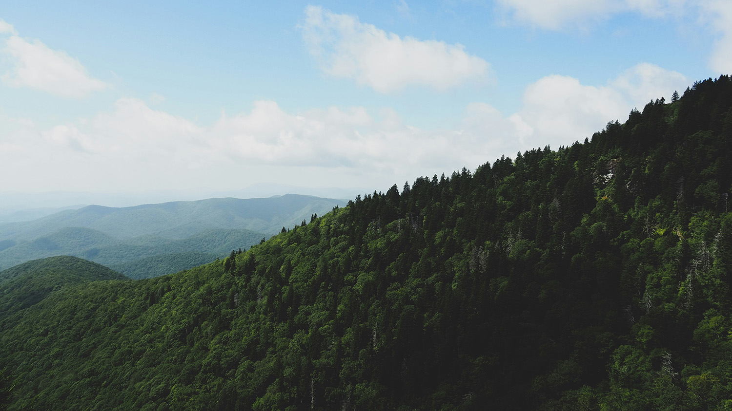 Green trees on a mountain under a blue sky during daytime.