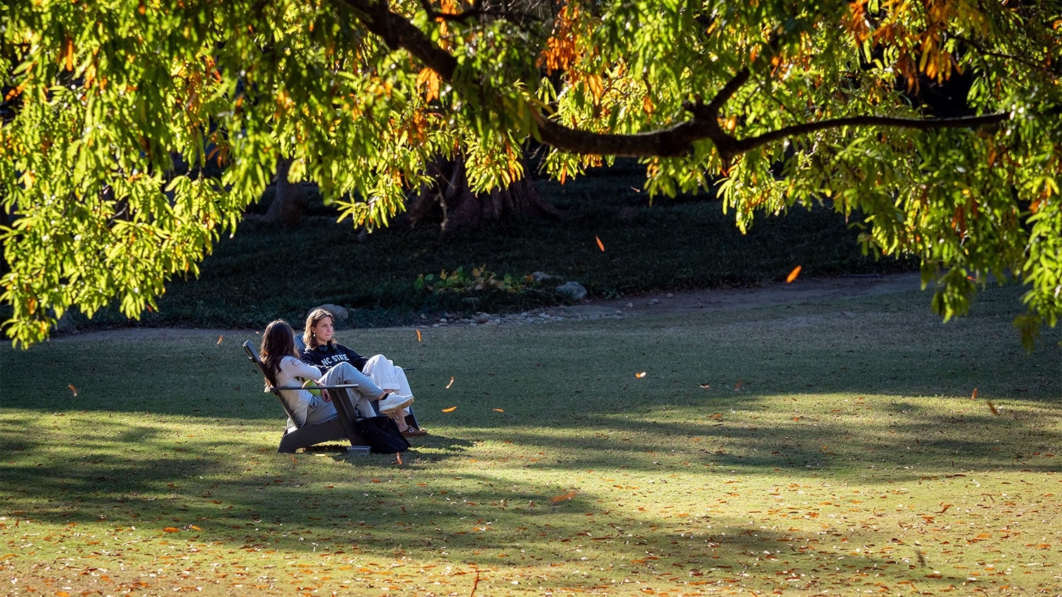 Two individuals sit in chairs on the lawn of the Court of North Carolina on the NC State campus in Raleigh.