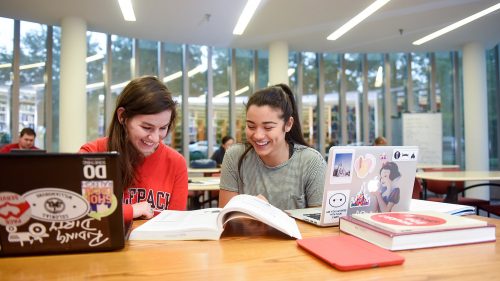 Friends Studying - Undergraduate - Parks Recreation and Tourism Management NC State