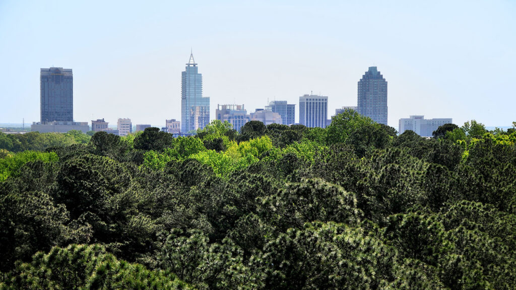 Raleigh North Carolina City View - Graduate Support -Parks Recreation and Tourism Management NC State