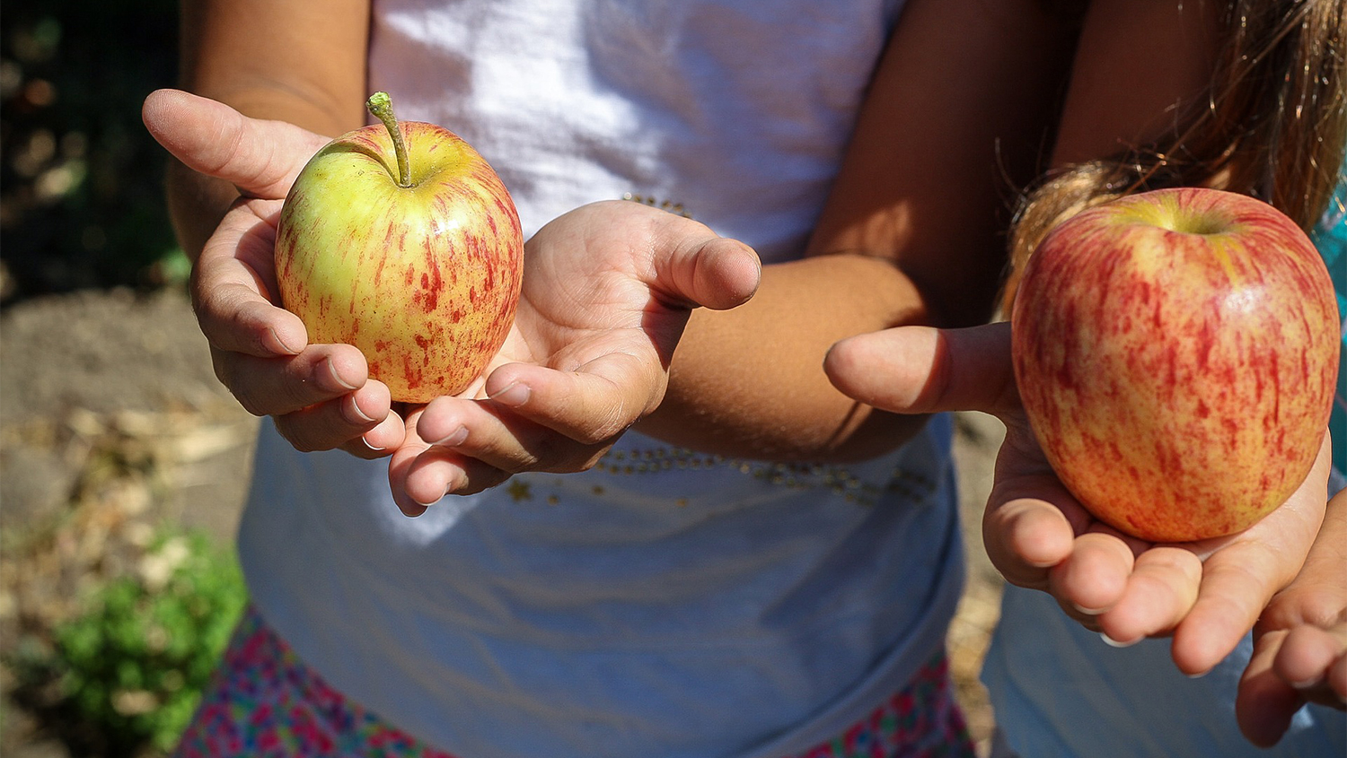 Kids and Apples - Agritourism Experiences Increase Consumers & Pro-Environmental Behaviors - Parks Recreation and Tourism Management NC State