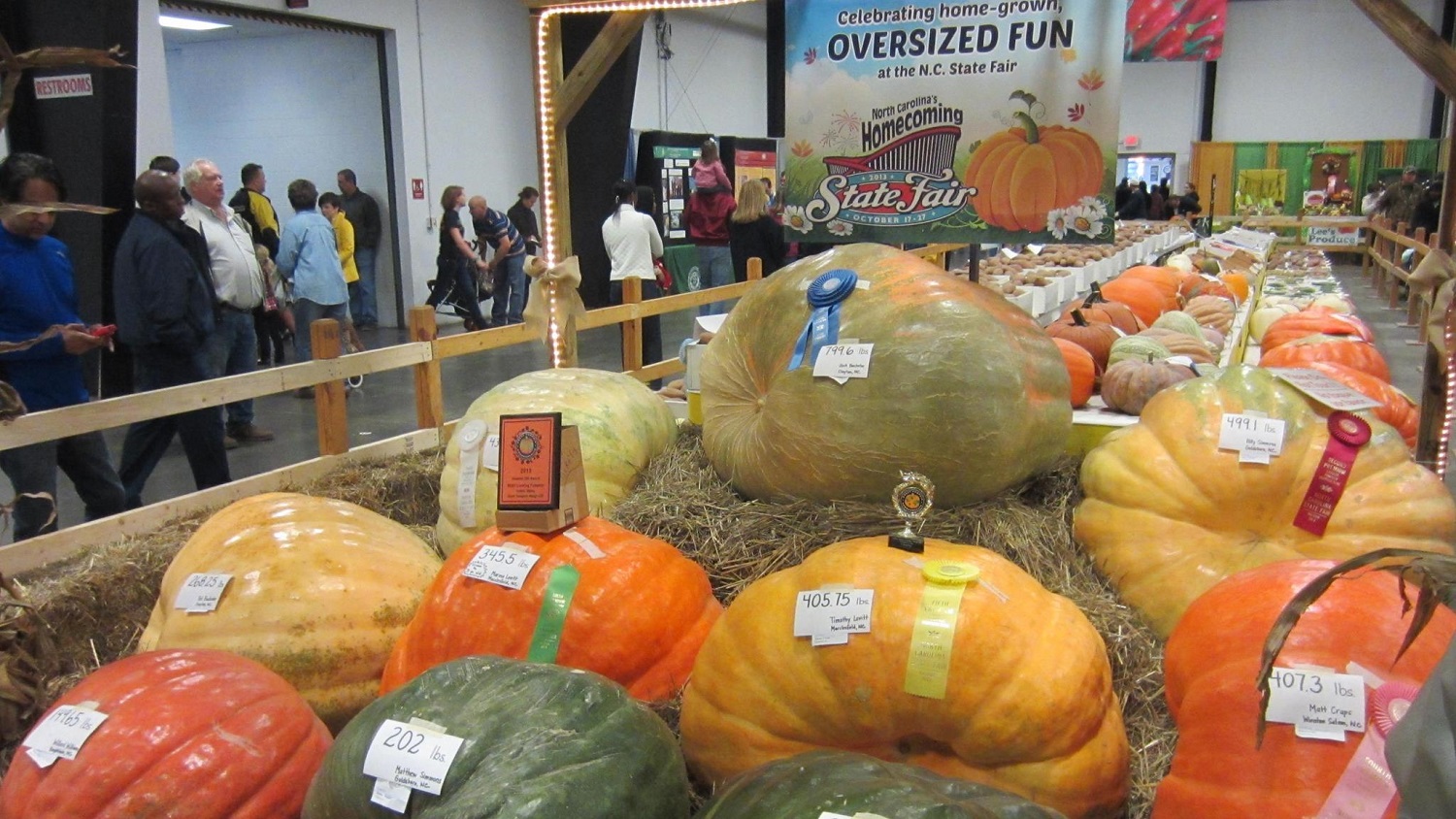Great Pumpkin Winners at the NC State Fair
