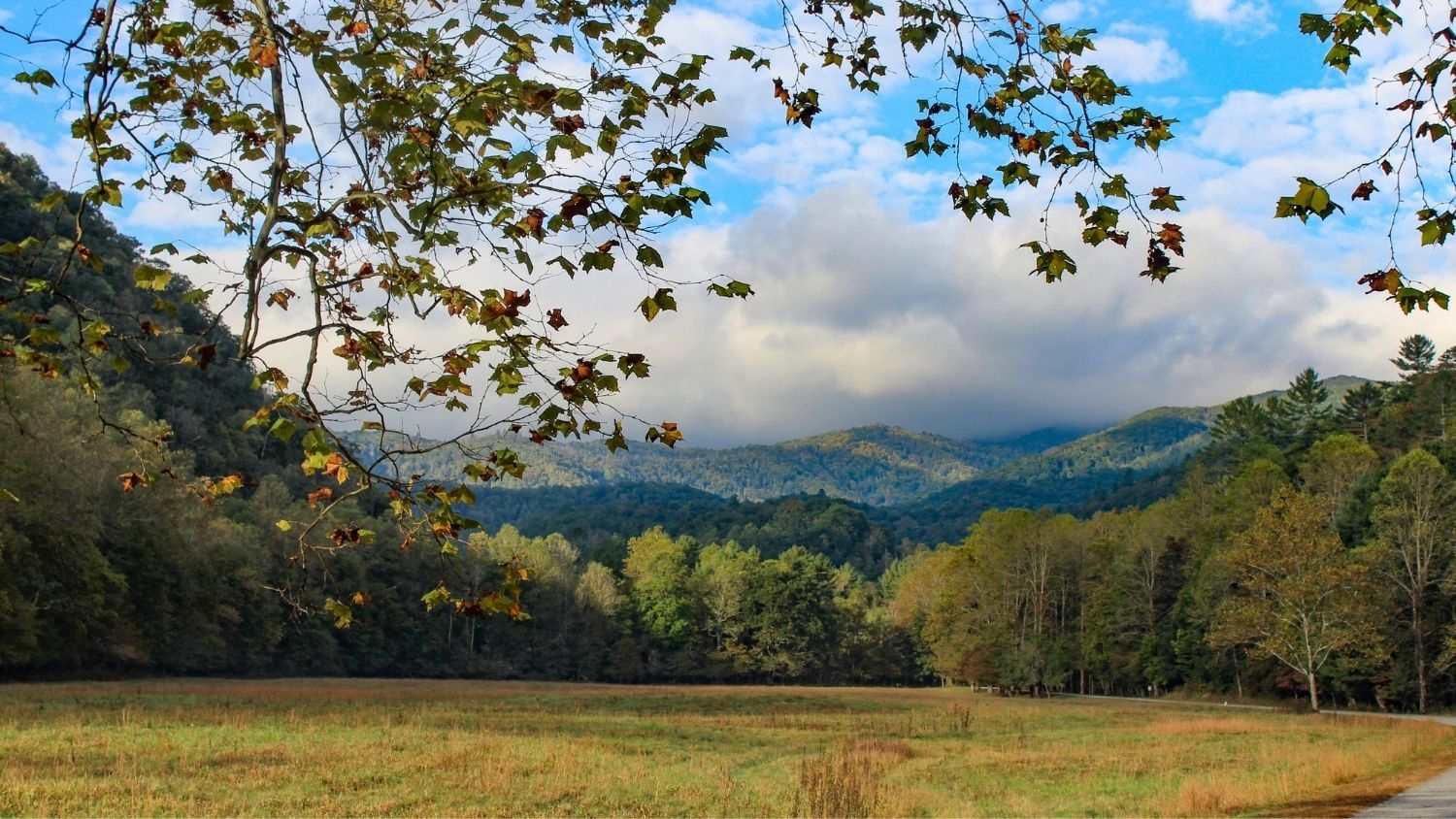 Great Smoky Mountains National Park - Analysis: Studies of U.S. National Parks Are Trending Down, Focused on Popular Parks - Parks, Recreation and Tourism Management at NC State University