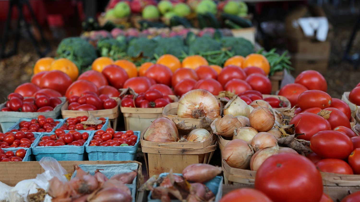 Fresh Vegetables - NC State Extension Expands Delivery of Local Produce to Coastal Tourists - Parks, Recreation and Tourism Management at NC State University