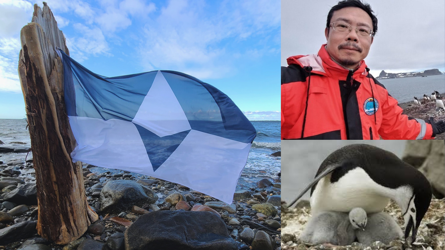 South Antarctica Flag, Yu-Fai Leung, and penguins - Antarctica Day Recognizes the Anniversary of the Signing of the Antarctic Treaty - Parks Recreation and Tourism Management NC State University