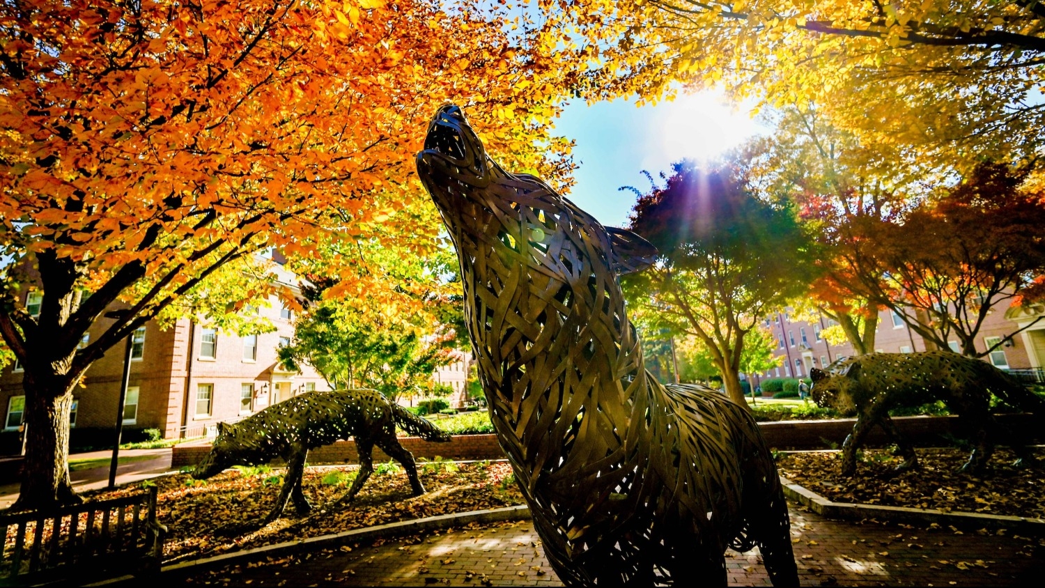 Sculptures of wolves howling beneath vibrant autumn trees with orange leaves. - Natural Resources Alumni, Supporters Honored for Impact and Service - Parks Recreation and Tourism Management NC State University