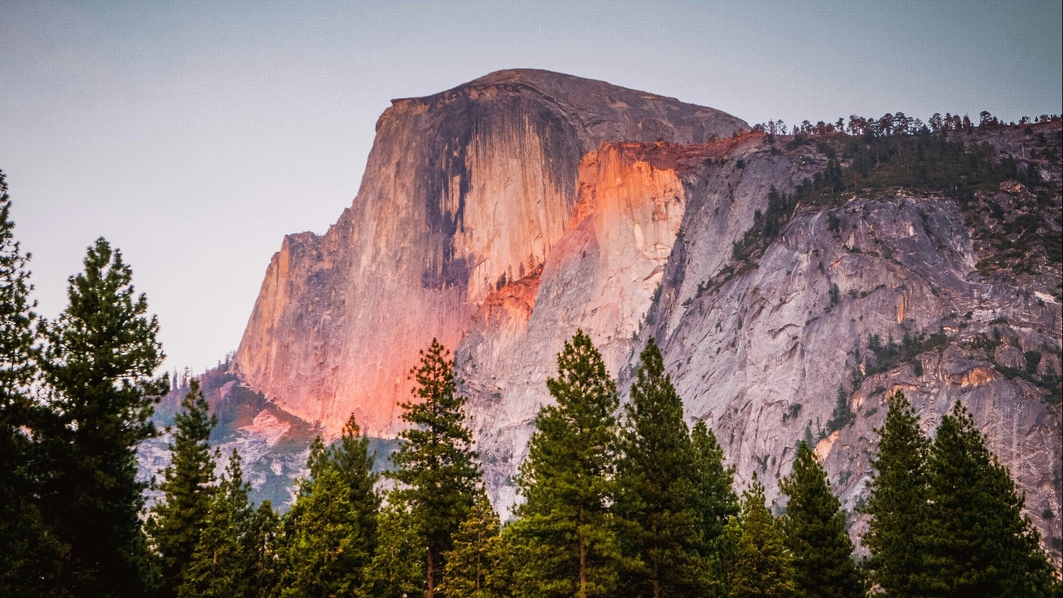 Half Dome at Yosemite is bathed in warm sunset light, creating a striking orange glow on the granite. Foreground features tall evergreen trees.