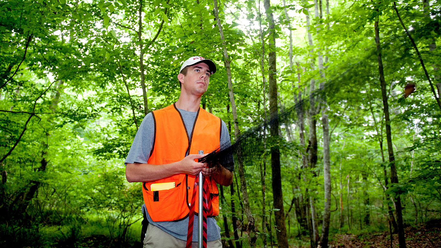 Student doing research in forest - Graduate - College of Natural Resources at NC State University