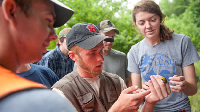 Fisheries Wildlife And Conservation Biology College Of Natural Resources