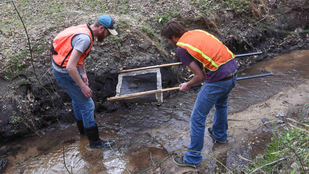 Water quality testing - Natural Resources -College of Natural Resources at NC State University