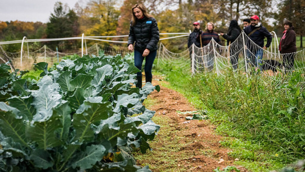 Sustainable Tourism - USDA Logo - McIntire-Stennis College of Natural Resources