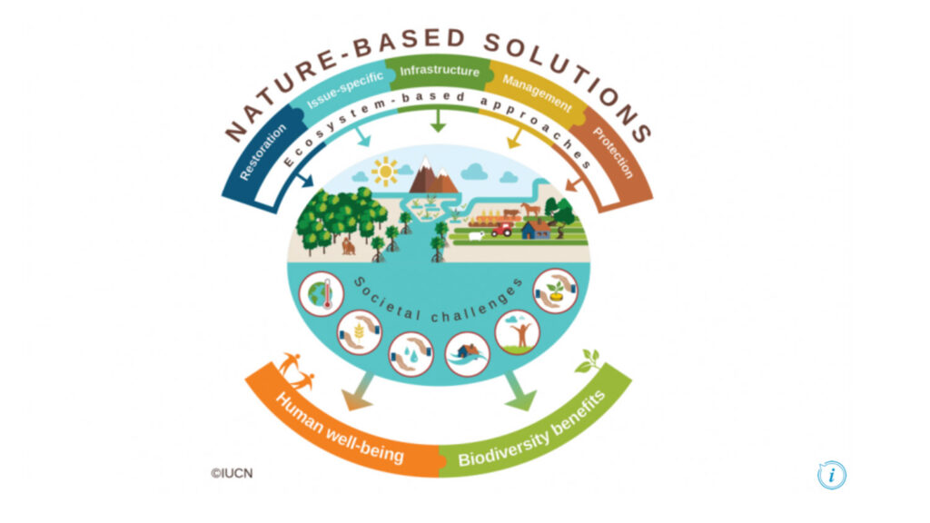 McIntire Stennis - Investigating Funding Mechanisms for Nature-Based Solutions to Urban Environmental Stressors - College of Natural Resources at NC State