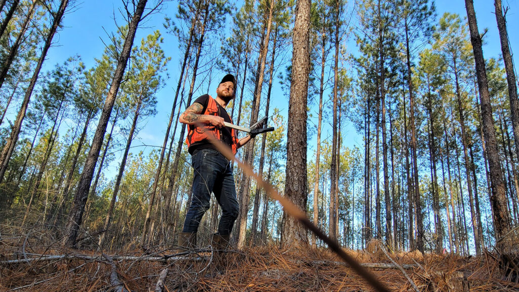 Working in the Woods - Modeling Growth Response of Loblolly Pine and Economic Returns From Nutrient Additions Based on a Gradient of Soil Characteristics Across the Southeastern US - College of Natural Resources NC State University