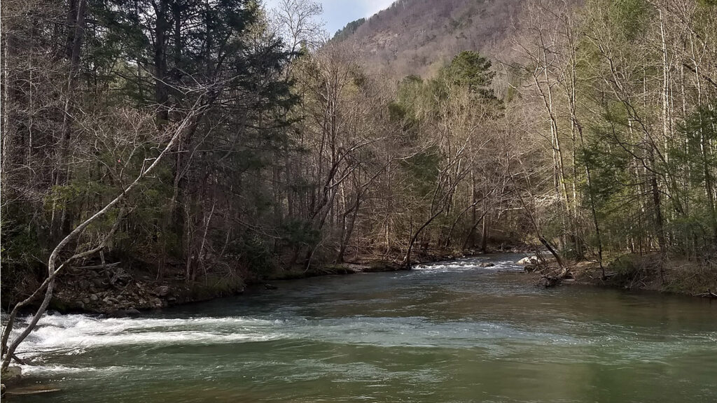 McIntire Stennis - Optimizing Landscape Planning for Co-Benefits among Wildlife Populations and Agricultural Communities - College of Natural Resources at NC State