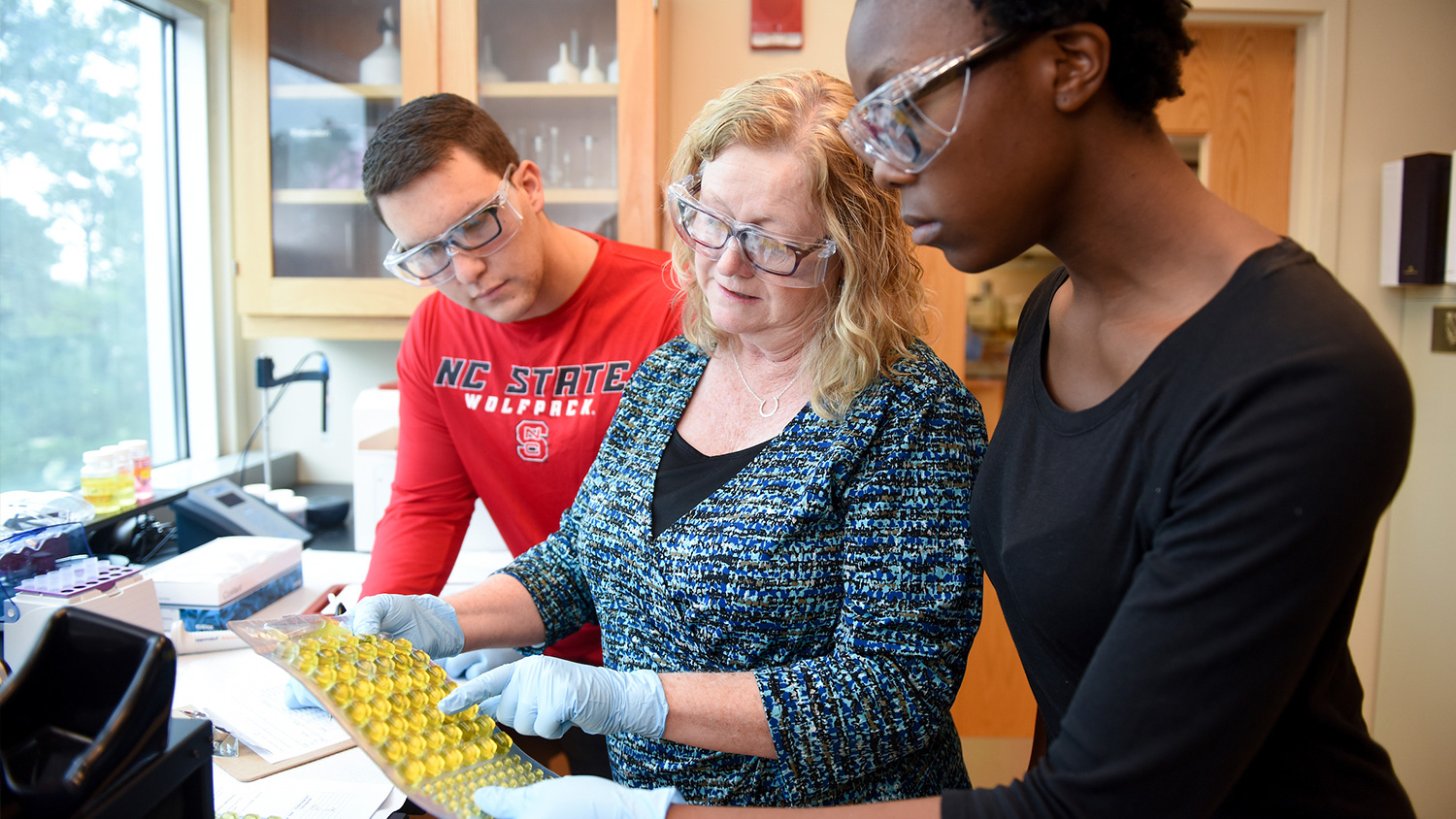 Students and faculty in the lab - Career Connections - College of Natural Resources at NC State University