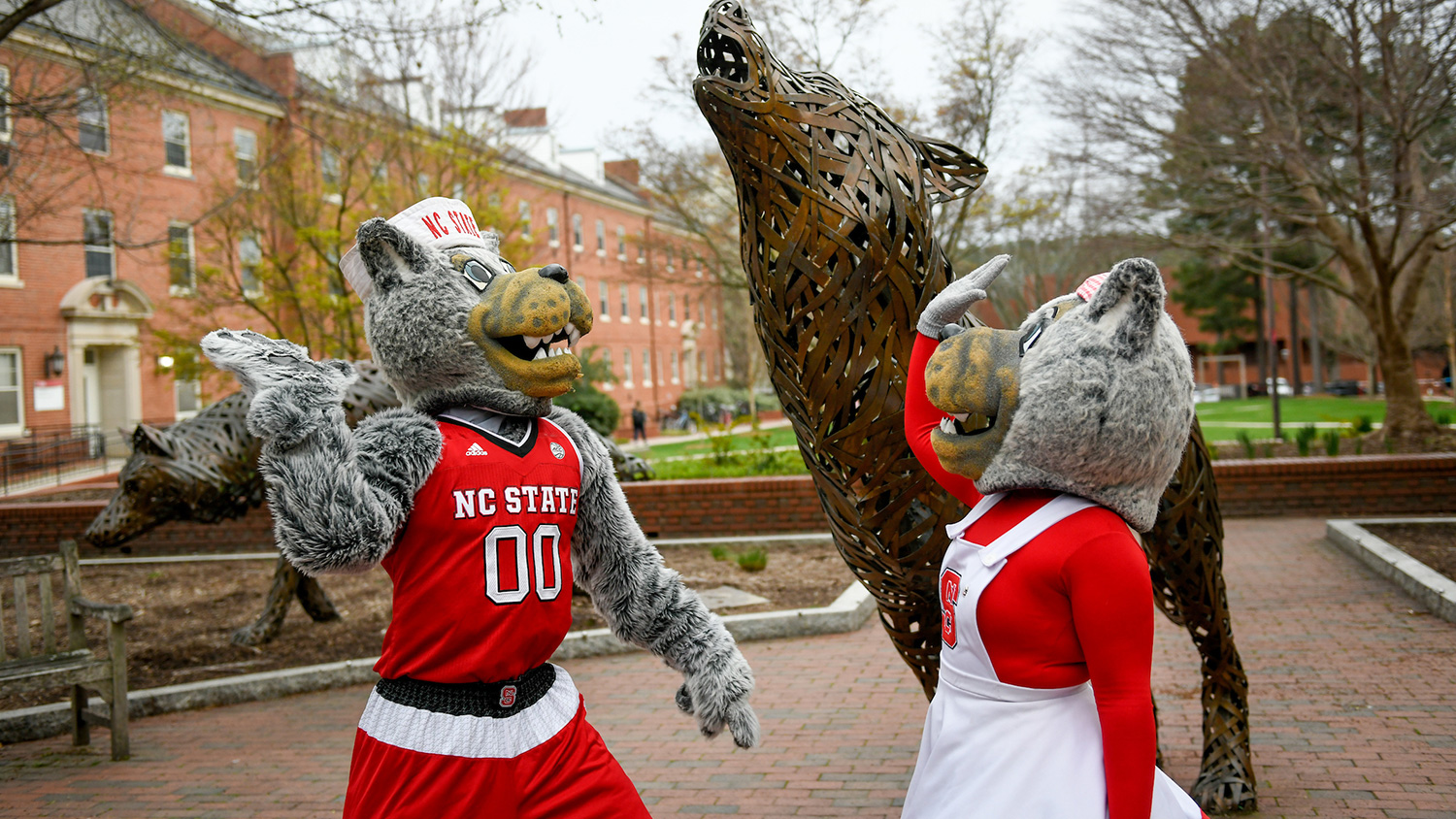 Career Connections - College of Natural Resources at NC State University